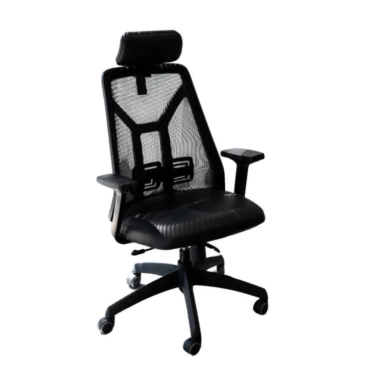 Ergonomic mesh chair